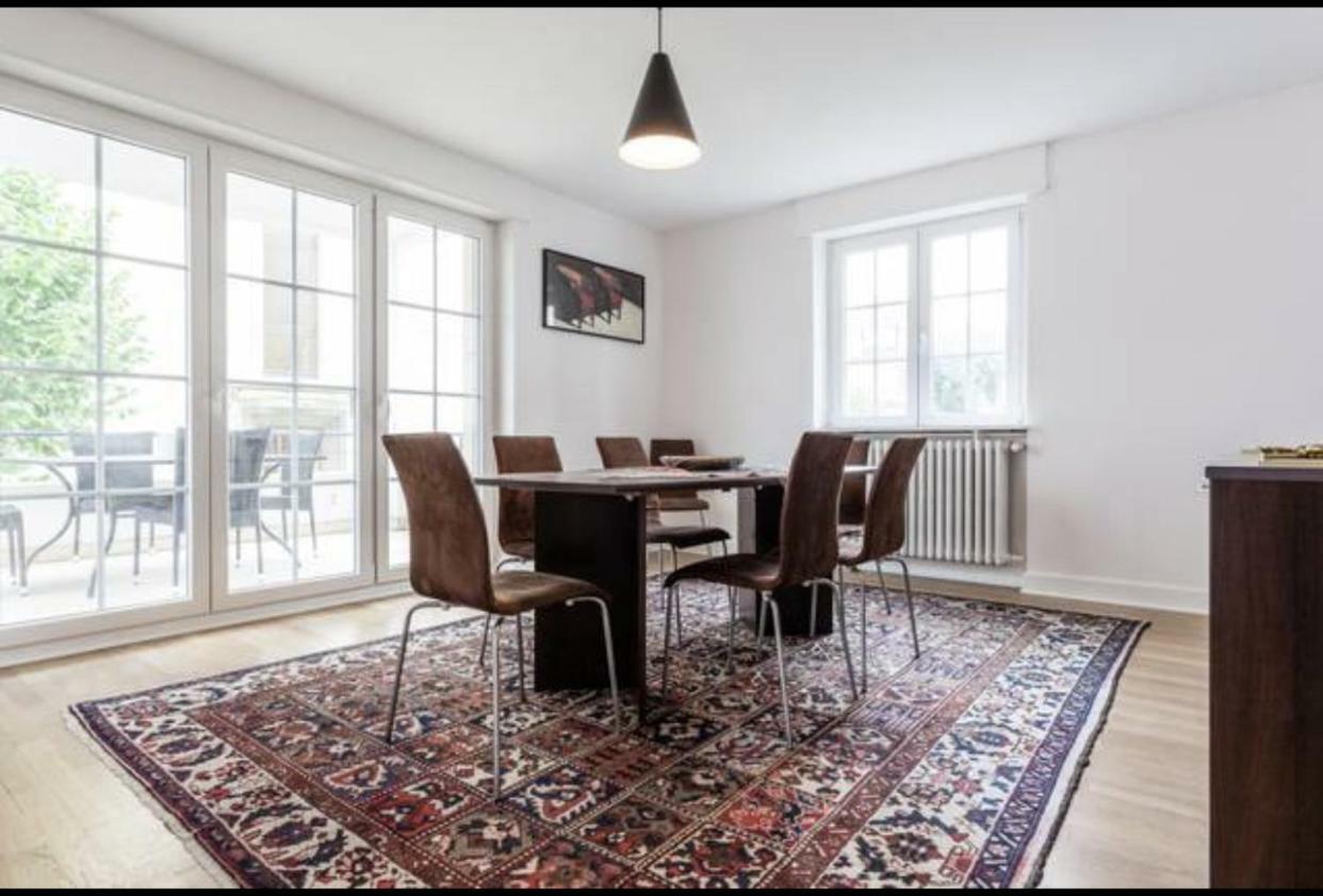 Charmant Appartement Avec Terrasse Dans Villa Strasbourg Ngoại thất bức ảnh