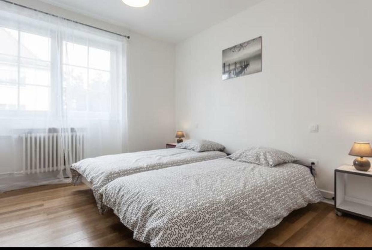 Charmant Appartement Avec Terrasse Dans Villa Strasbourg Ngoại thất bức ảnh