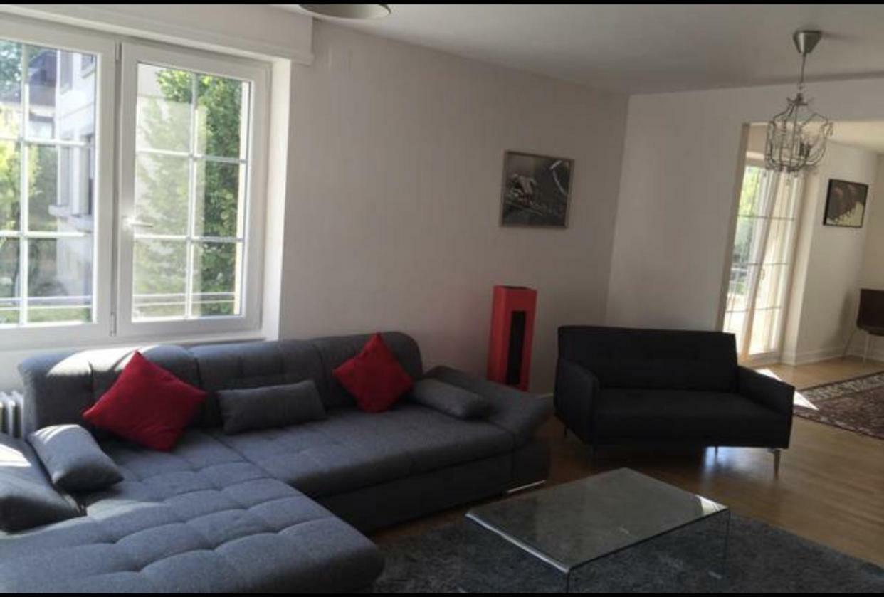 Charmant Appartement Avec Terrasse Dans Villa Strasbourg Ngoại thất bức ảnh