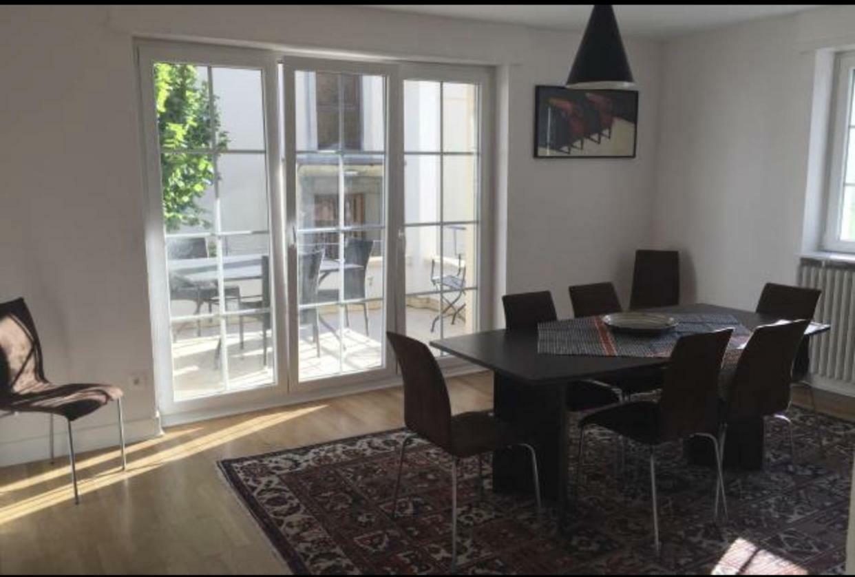 Charmant Appartement Avec Terrasse Dans Villa Strasbourg Ngoại thất bức ảnh